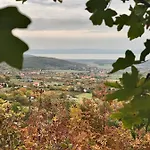Kiskacsa Nyulontul *