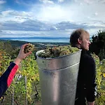 Lejlighed Kiskacsa Nyulontul *