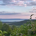 Kiskacsa Nyulontul