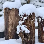 Kiskacsa Nyulontul Lejlighed Mencshely