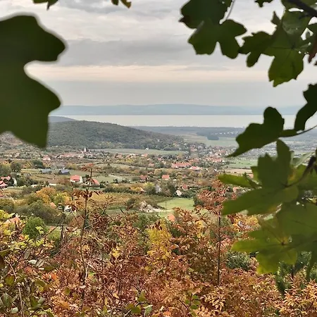 Kiskacsa Nyúlontúl *