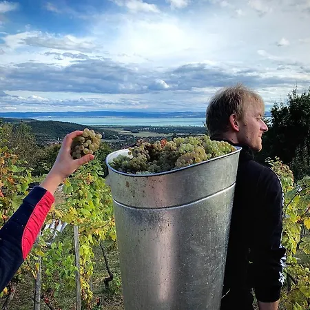 Apartman Kiskacsa Nyúlontúl *