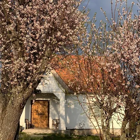 Apartman Kiskacsa Nyúlontúl *