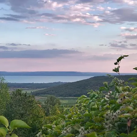 Kiskacsa Nyulontul