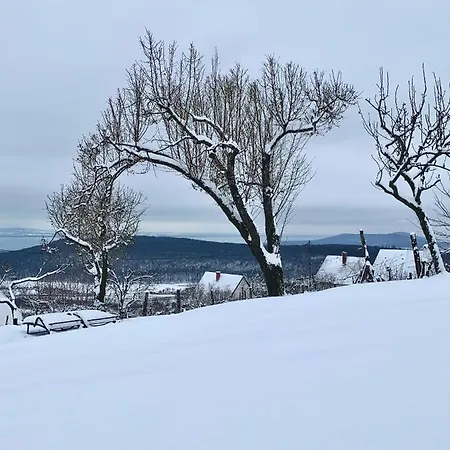 Kiskacsa Nyúlontúl * Mencshely