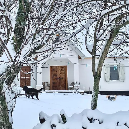 Apartamento Kiskacsa Nyulontul Mencshely