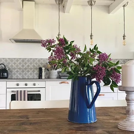 Apartman Kiskacsa Nyúlontúl Mencshely