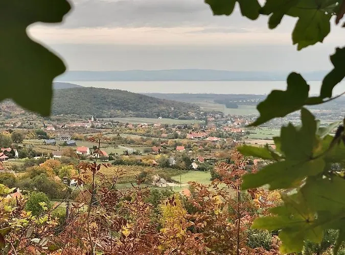 Kiskacsa Nyulontul *