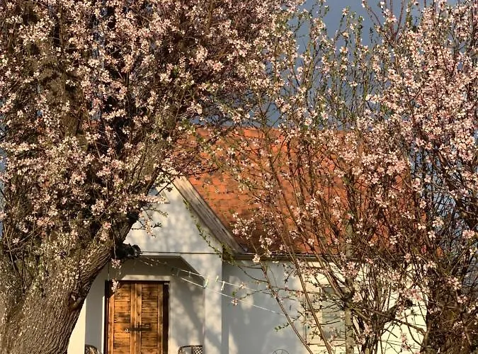 Apartamento Kiskacsa Nyulontul *